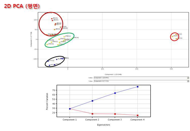 태국칡 시료의 PCA 통계 분석