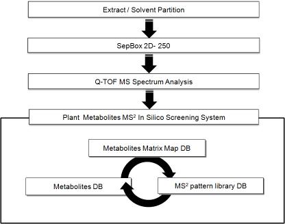 Metabolites Database을 이용한 In Silico Screening System 의 개념도