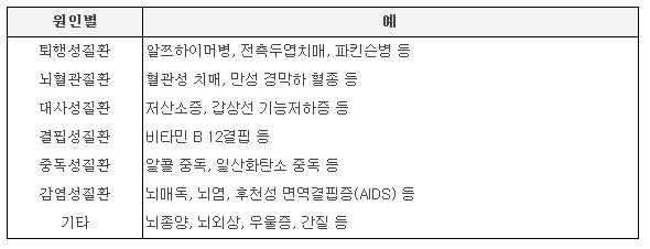 대표적인 치매의 원인