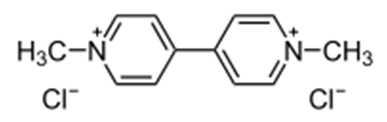 Two-dimensional molecular structures of paraquat