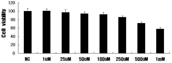 Paraquat-induced cytotoxicity in C6 glioma cells.