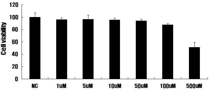 Paraquat-induced cytotoxicity in BV 2 microglia cells.