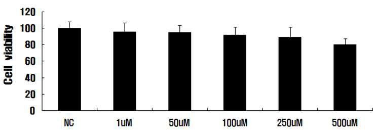 Paraquat-induced cytotoxicity in B35 neuroblastoma cells.