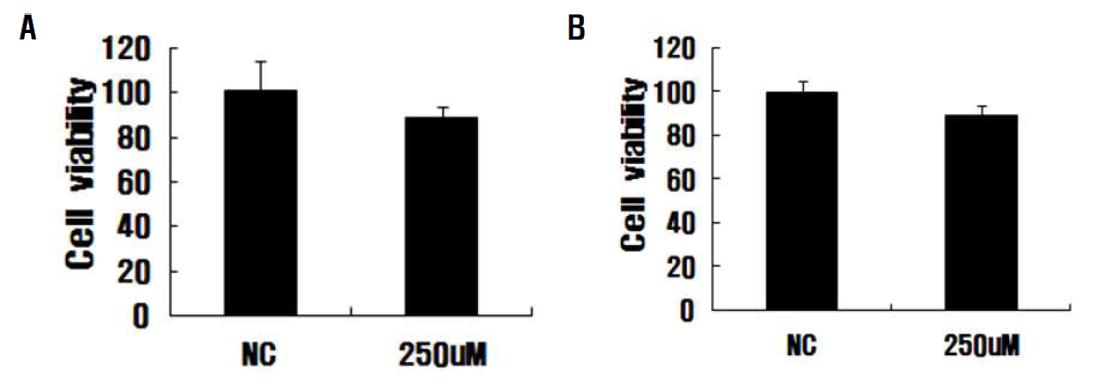 Paraquat-induced cytotoxicity in C6 glioma cells and B35 cells co-culture(A), Cytotoxicity of secretion protein by paraquat-induced in C6 glioma cells(B)