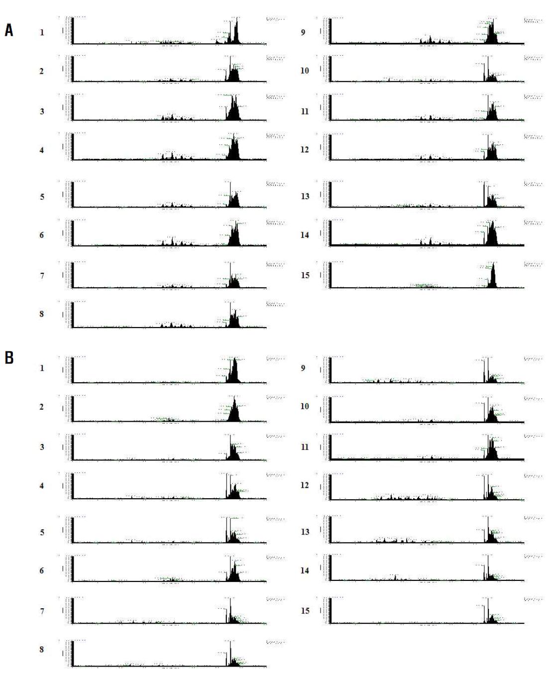 LC-ESI-MS/MS에 의한 peptide peak.