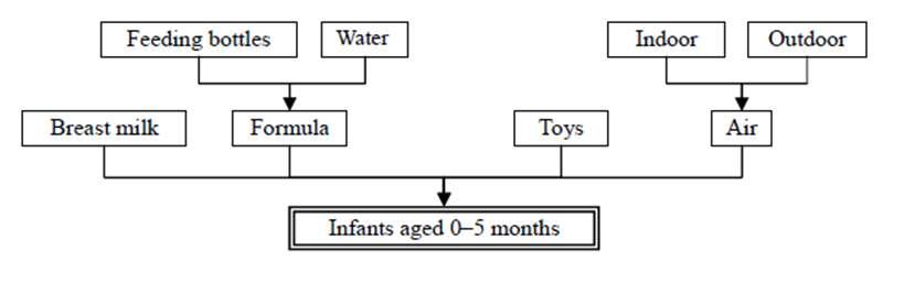 Conceptual M odel of Exposure by Infants 0? M onths Old