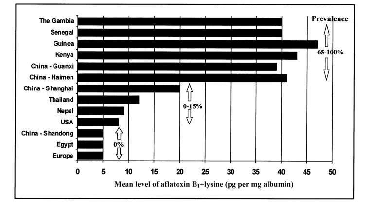 세계 일부 국가에서 측정된 aflatoxin 노출 수준과 aflatoxin B1-lysin adduct 함량