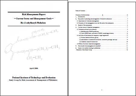 프탈레이트에 대한 보고서