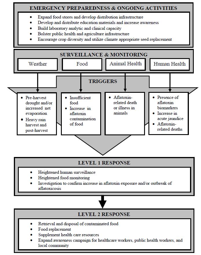급성 아플라톡신 중독증 사고를 예방하기 위한 추진체계