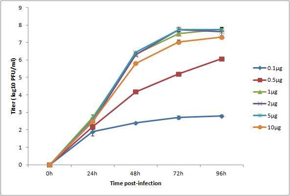 배지에 첨가된 trypsin의 양에 따른 influenza virus의 생산성(MDCK)
