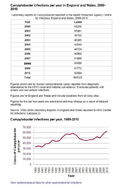 그림 6. 영국의 캄필로박터 식중독의 연간 발생 경향