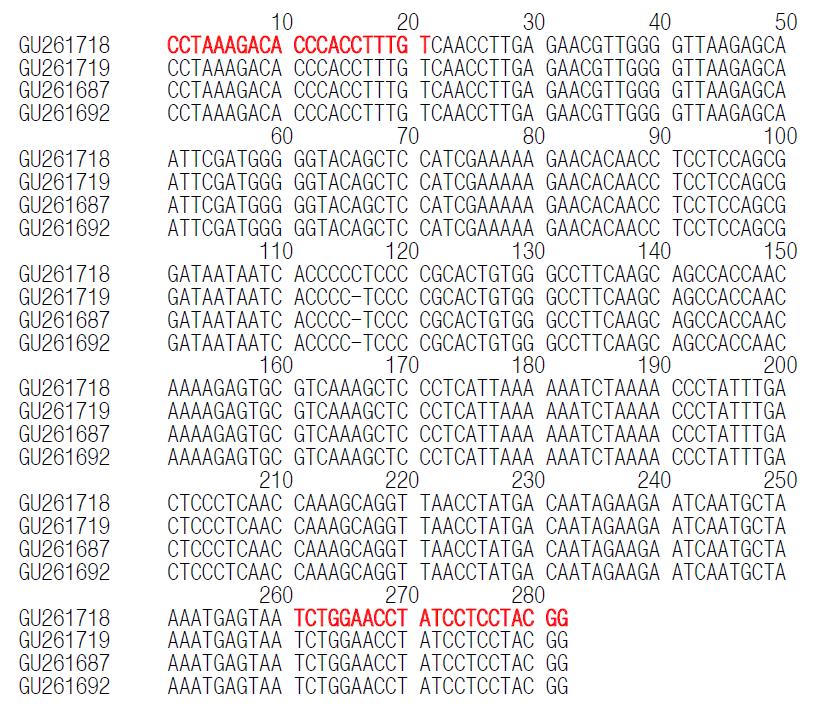 NCBI에 등재된 닭(Gallus gallus)의 16s rDNA 염기서열에 대한 이론적 평가