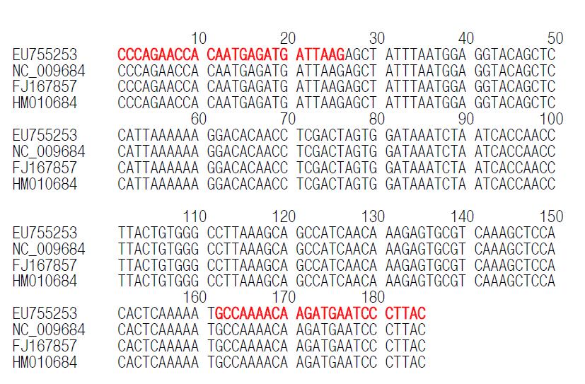 NCBI에 등재된 오리(Anas platyrhynchos.)의 16s rDNA 염기서열에 대한 이론적 평가