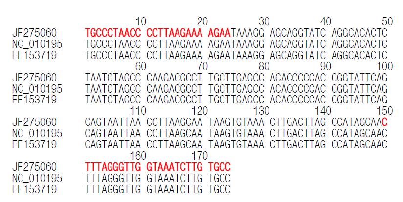 NCBI에 등재된 칠면조(Meleagris gallopago)의 12s rDNA 염기서열에 대한 이론적 평가