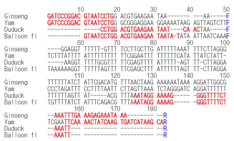 NCBI에 등재된 근채류 4종에 대한 psbI 유전자의 염기서열을 분석한 결과