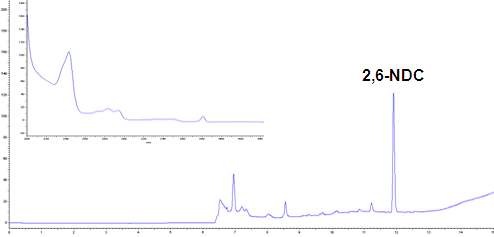 Fig. 16. HPLC Chromatogram and UV spectrum of 2,6-NDC standard solution