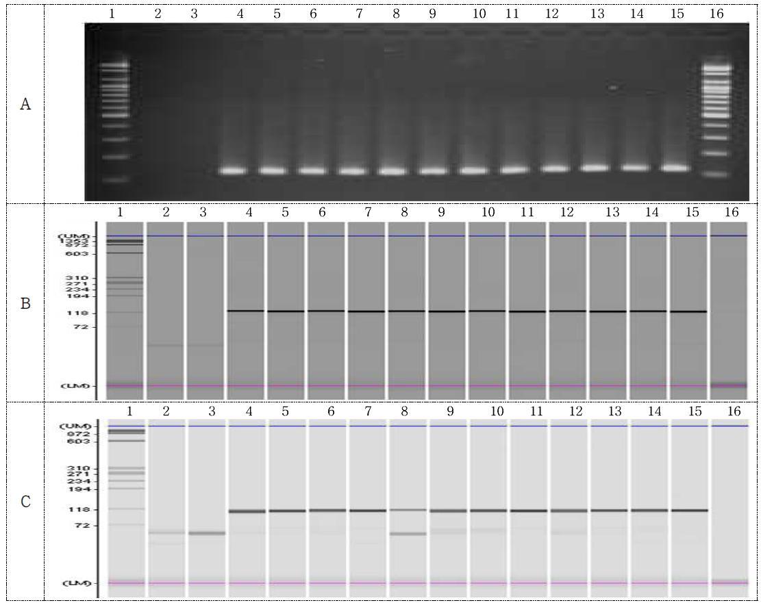 FG72 template / lectin primer