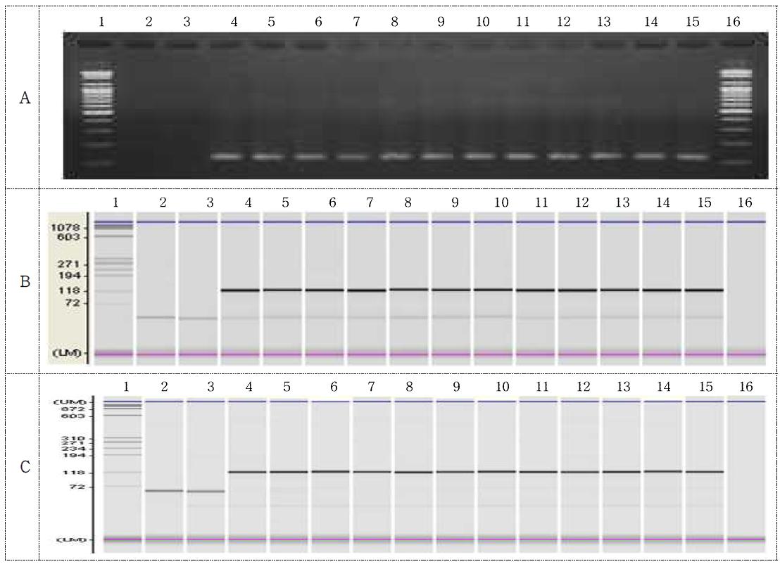 MON87705 template / Lectin primer