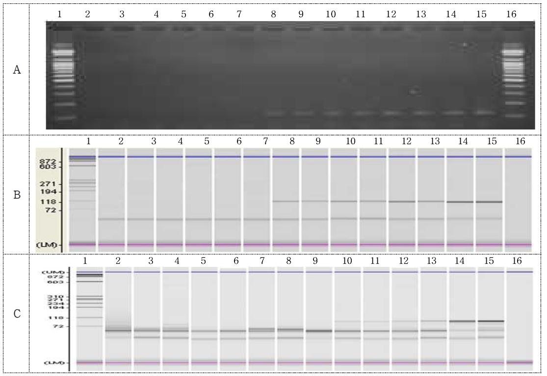 MON87769 template / MON87769 primer