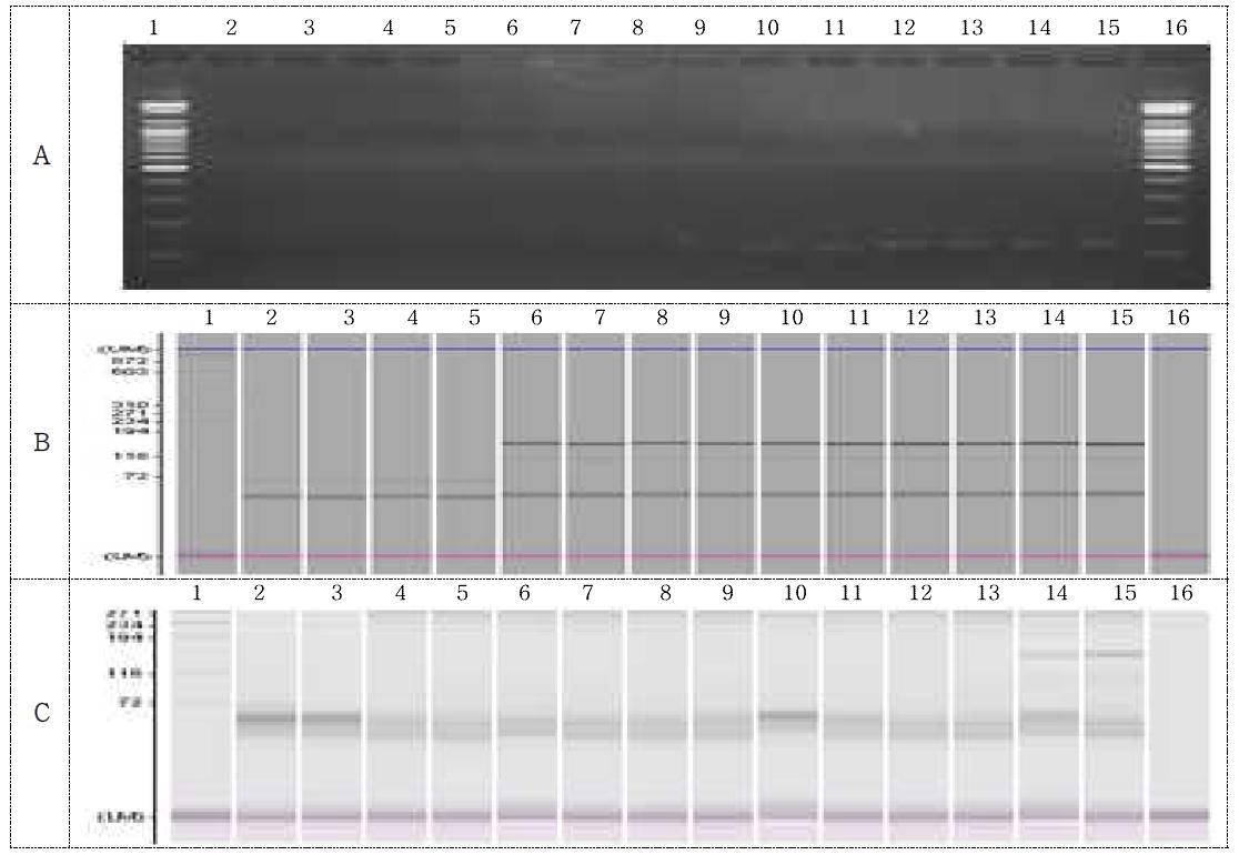 CJAI-L469P template /. CJAI-L469P primer