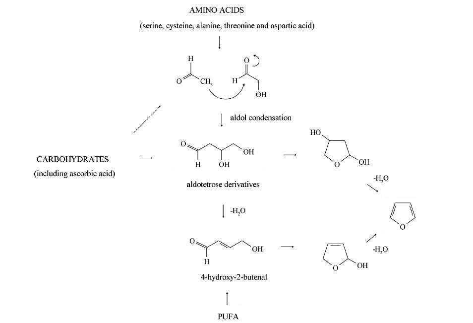 Mechnism of Furan