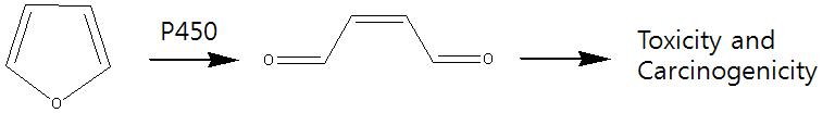 Proposed bioactivation pathway for Furan