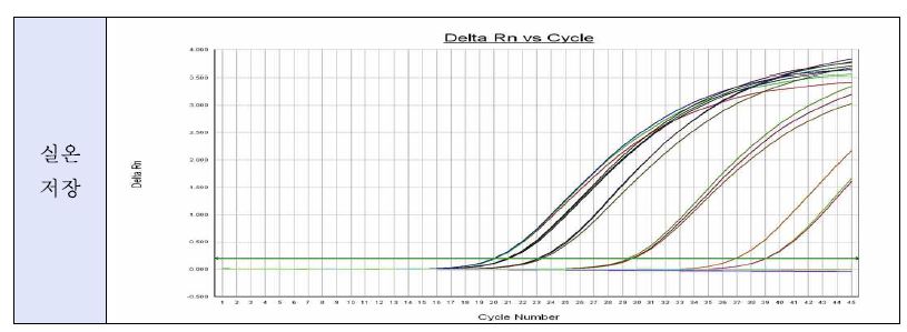 그림 40. 오염된 지하수(실온)의 시간 경과별 ICC-Realtime PCR 증폭 곡선