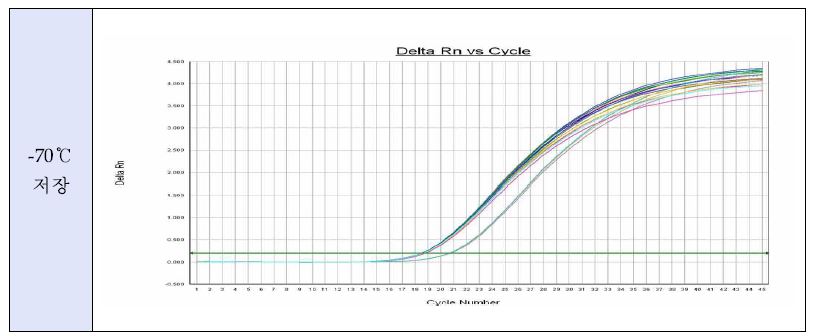 그림 46. 오염된 지하수(-70℃)의 시간 경과별 ICC-Realtime PCR 증폭 곡선