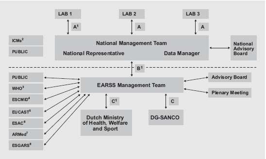 Structure of the EARSS network