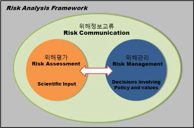 Framework of risk analysis