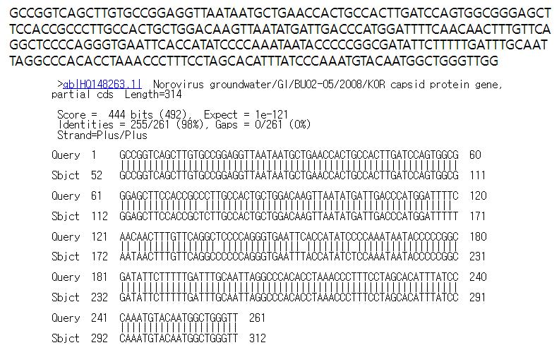 경기218 (고유연번 수13) 시료로부터 검출된 GI형 노로바이러스 염기서열