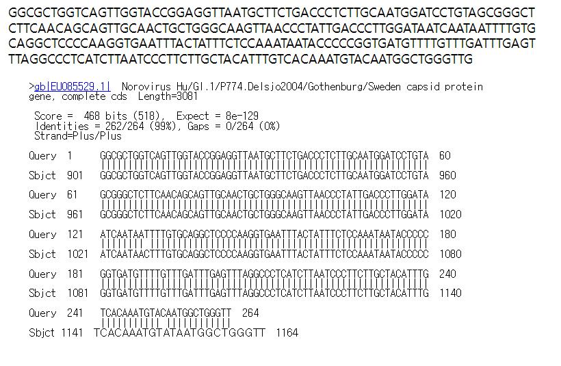 경기149(고유번호 위869) 시료로부터 검출된 GI형 노로바이러스 염기서열