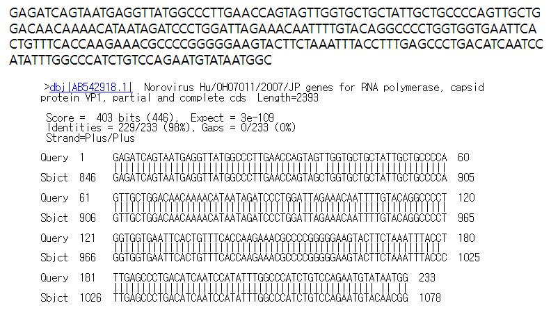 경기149(고유번호 위869) 시료로부터 검출된 GII형 노로바이러스 염기서열