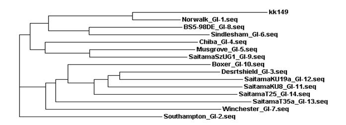 경기149(고유번호 위869) 시료로부터 검출된 GI형 노로바이러스의 계통분석도