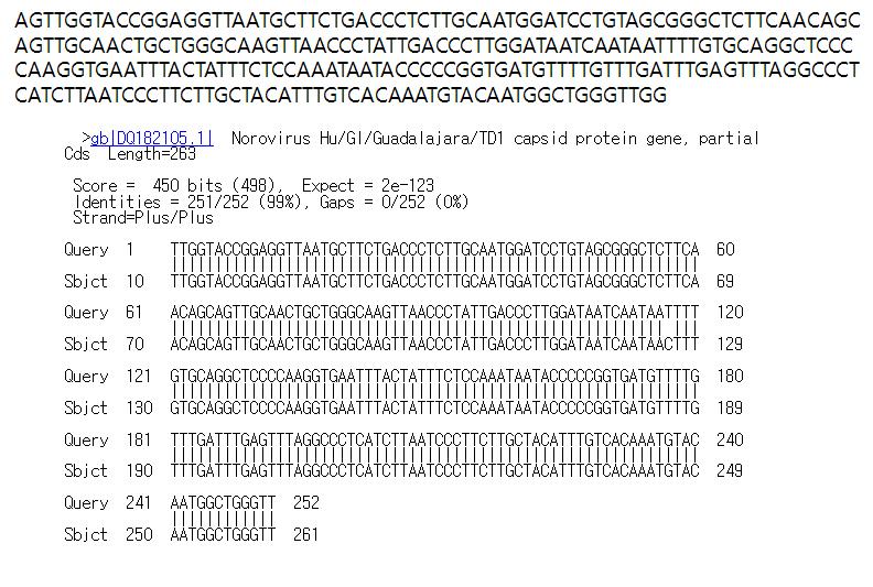 충북5(고유번호 학300) 시료로부터 검출된 GI형 노로바이러스 염기서열
