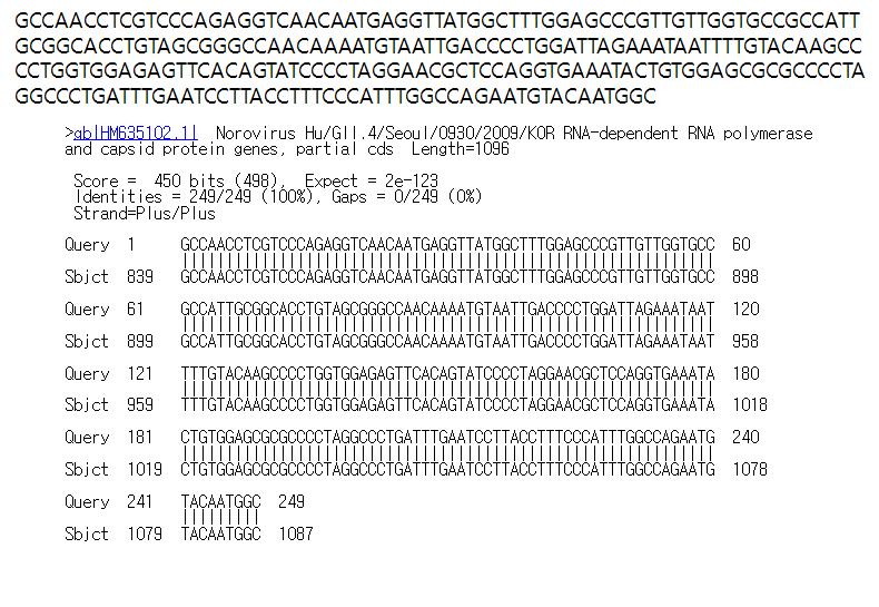 충북5(고유번호 학300) 시료로부터 검출된 GII형 노로바이러스 염기서열