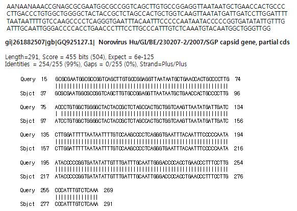 전북42 (고유번호 학695) 시료로부터 검출된 GI형 노로바이러스 염기서열