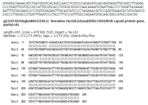 전북42(고유번호 학695) 시료로부터 검출된 GII형 노로바이러스 염기서열