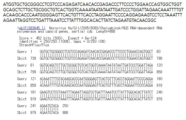 충북7(고유번호 학303) 시료로부터 검출된 GII형 노로바이러스 염기서열