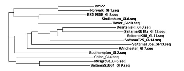 경기122(고유번호 유45) 시료로부터 검출된 GII형 노로바이러스의 계통분석도