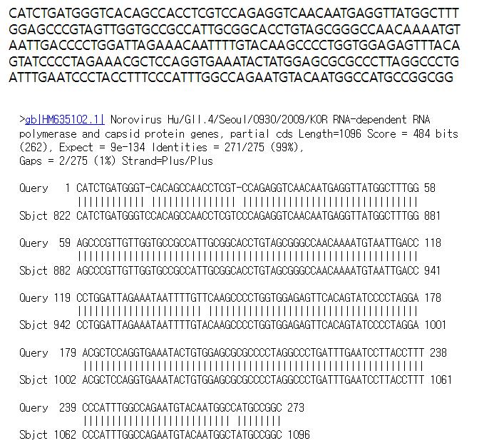 경남37(고유번호 학1134) 시료로부터 검출된 GII형 노로바이러스 염기서열