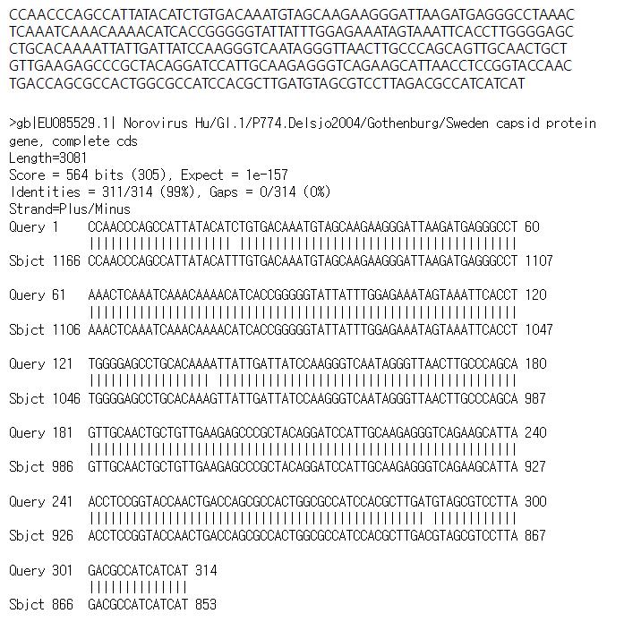 경남62(고유번호 유3) 시료로부터 검출된 GII형 노로바이러스 염기서열
