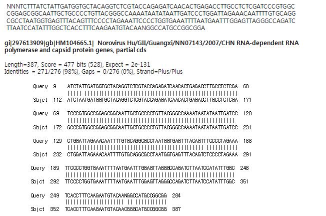 전남6(고유번호 학703) 시료로부터 검출된 GII형 노로바이러스 염기서열