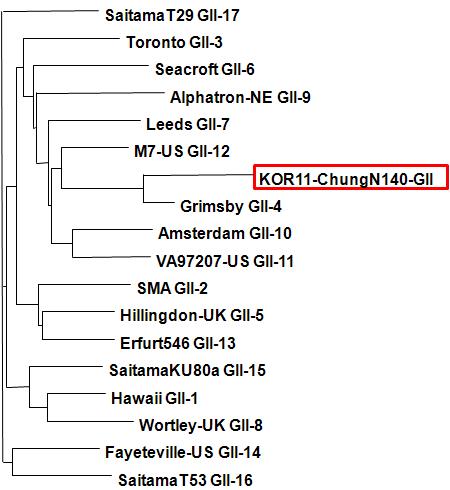 충남140(고유번호 학578) 시료로부터 검출된 GII형 노로바이러스의 계통분석도