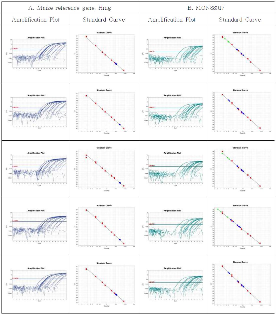 Amplification plots and standard curves for MON88017 event-specific quantitative Real-time PCR method using gradient-diluted MON88017 CRM genomic DNA as the template, performed by Lab. 2. A. Amplification graph and standard curves for the maize reference gene, Hmg assay. B. Amplification graph and standard curves for the MON88017-event specific assay.