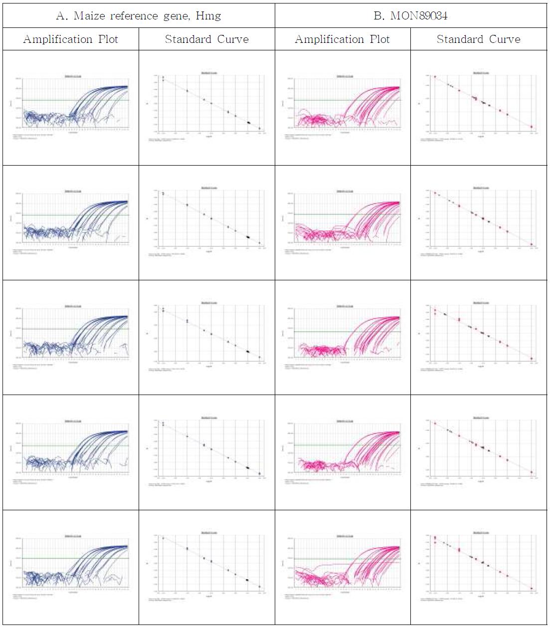Amplification plots and standard curves for MON89034 event-specific quantitative Real-time PCR method using gradient-diluted MON89034 CRM genomic DNA as the template, performed by Lab. 1. A. Amplification graph and standard curves for the maize reference gene, Hmg assay. B. Amplification graph and standard curves for the MON89034-event specific assay.
