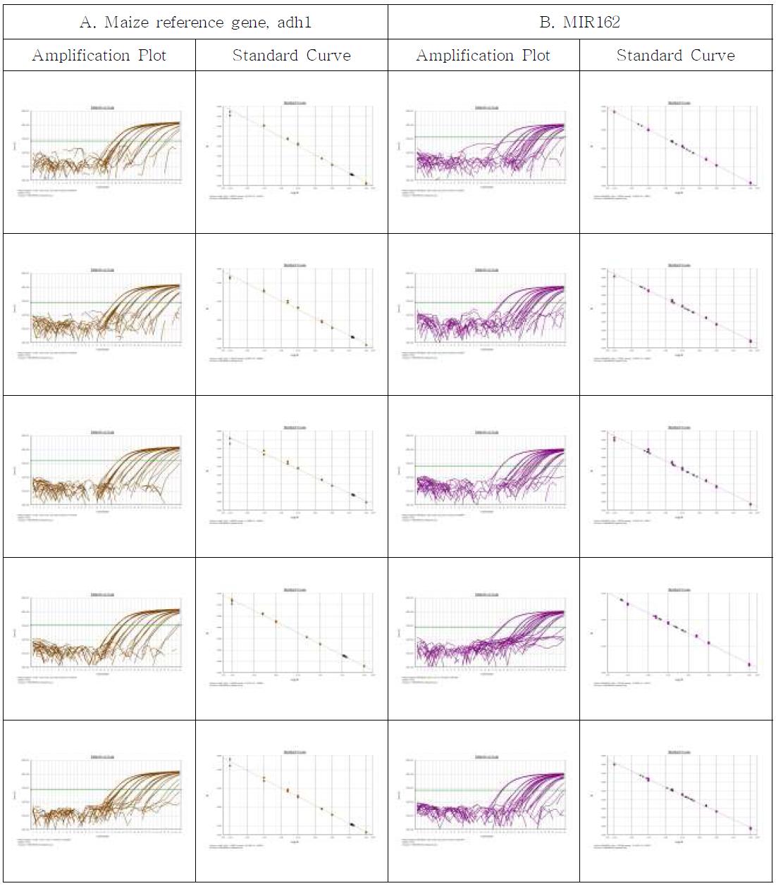 Amplification plots and standard curves for MIR162 event-specific quantitative Real-time PCR method using gradient-diluted MIR162 CRM genomic DNA as the template, performed by Lab. 1. A. Amplification graph and standard curves for the maize reference gene, adh1 assay. B. Amplification graph and standard curves for the MIR162-event specific assay.