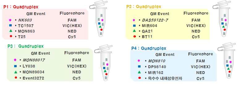 Example of the qualitative assay for the stacked GM-maize by multiplex Real-time PCR method.