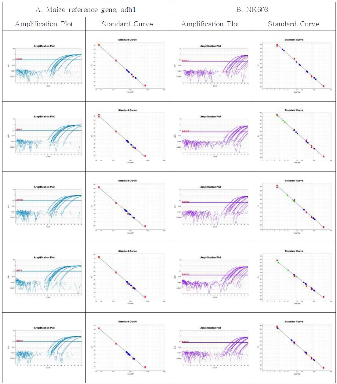 Amplification plots and standard curves for NK603 event-specific quantitative Real-time PCR method using gradient-diluted NK603 CRM genomic DNA as the template, performed by Lab. 2. A. Amplification graph and standard curves for the maize reference gene, Hmg assay. B. Amplification graph and standard curves for the NK603-event specific assay.