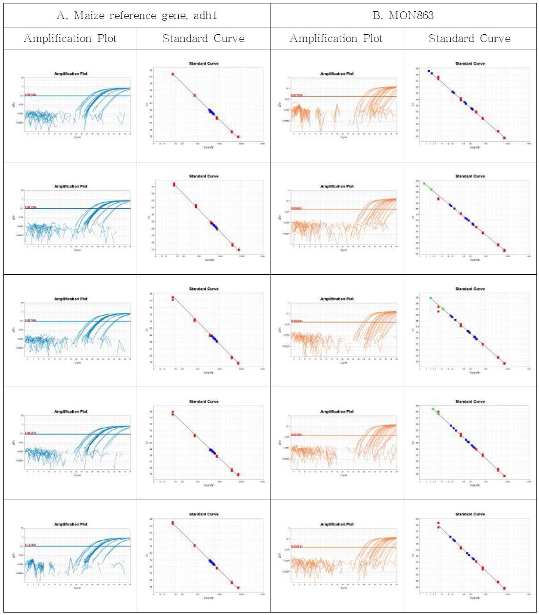 Amplification plots and standard curves for MON863 event-specific quantitative Real-time PCR method using gradient-diluted MON863 CRM genomic DNA as the template, performed by Lab. 2. A. Amplification graph and standard curves for the maize reference gene, adh1 assay. B. Amplification graph and standard curves for the MON863-event specific assay.
